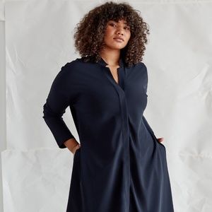 Aday Something Borrowed Dress